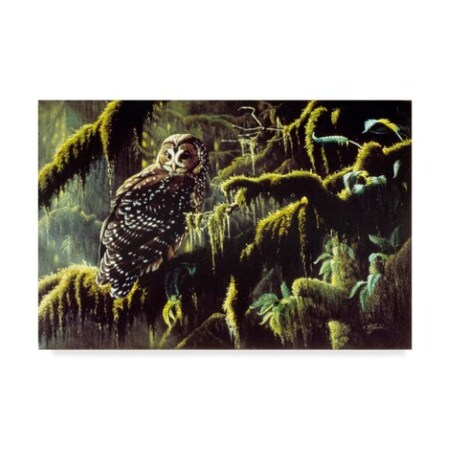 Trademark Fine Art Wilhelm Goebel 'Spirit Of Ancient Forests' Canvas Art, 30x47 ALI33734-C3047GG